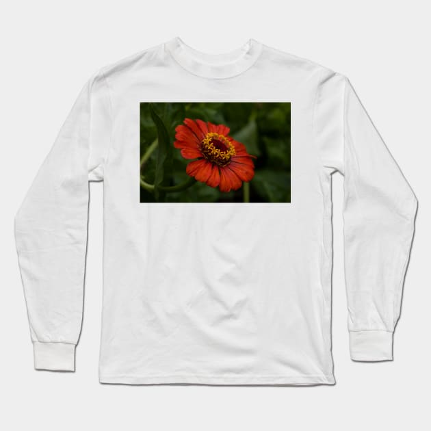 Beautiful red flower Long Sleeve T-Shirt by Drawingbreaks